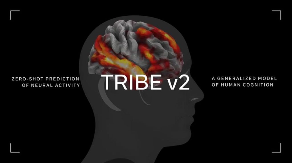 TRIBE v2, іллюстрація из пресс-релізу